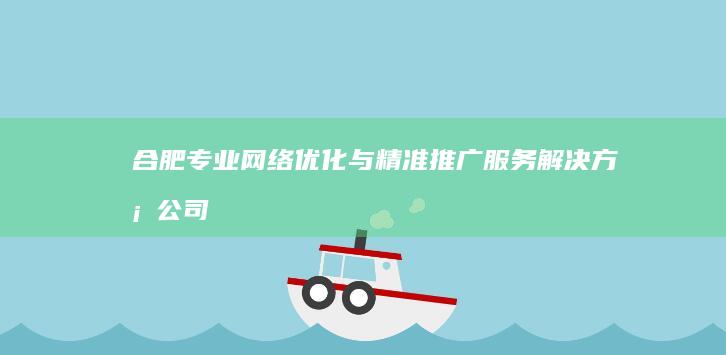 合肥专业网络优化与精准推广服务解决方案公司